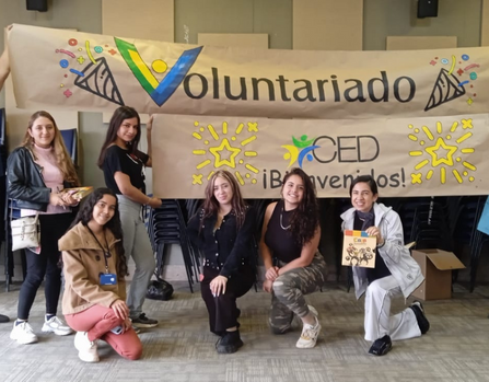 Programa de voluntariado