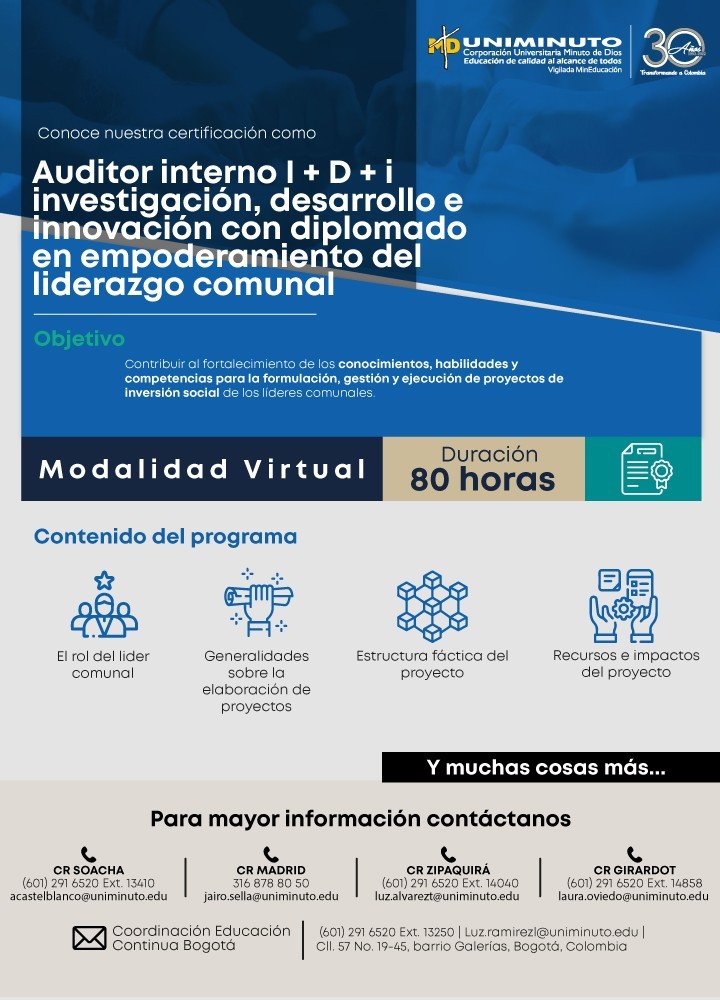 Auditor Interno